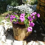 Varelija *
