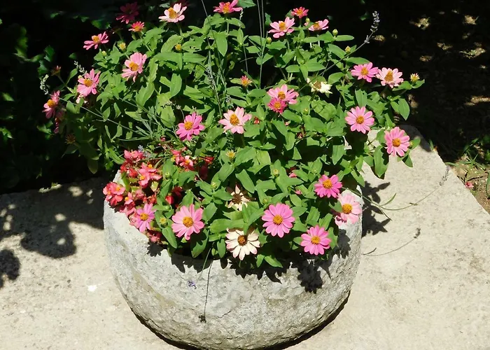 Varelija 아파트